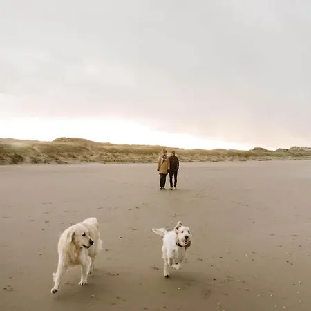 Luxe tent Near Dunes & Callantsoog